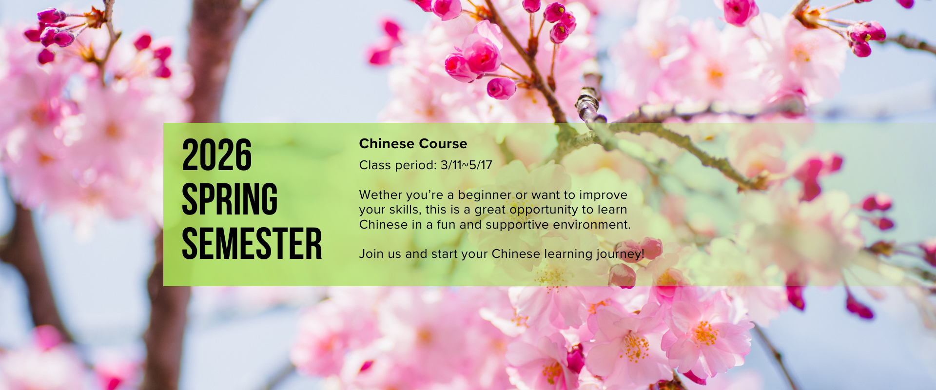 2026 Spring semester Chinese Course